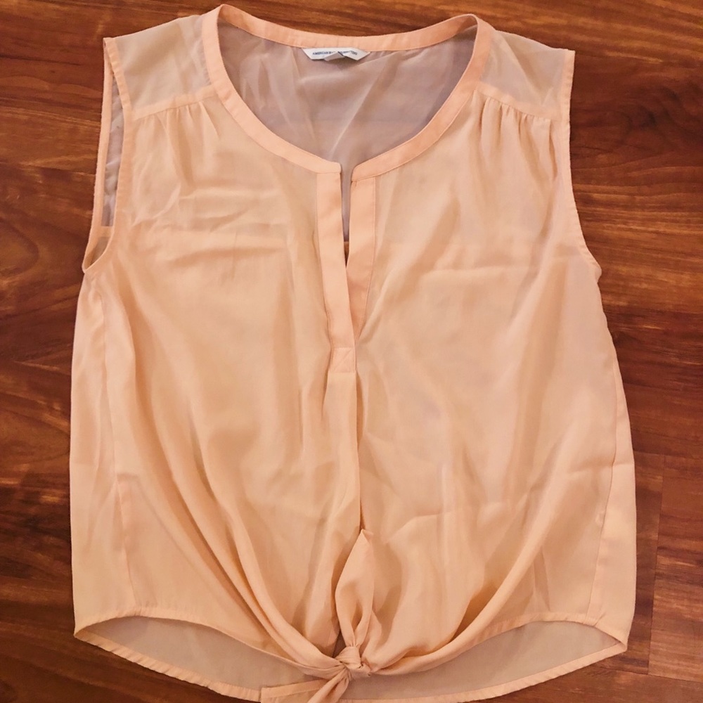 AE Sheer Pale Pink Blouse